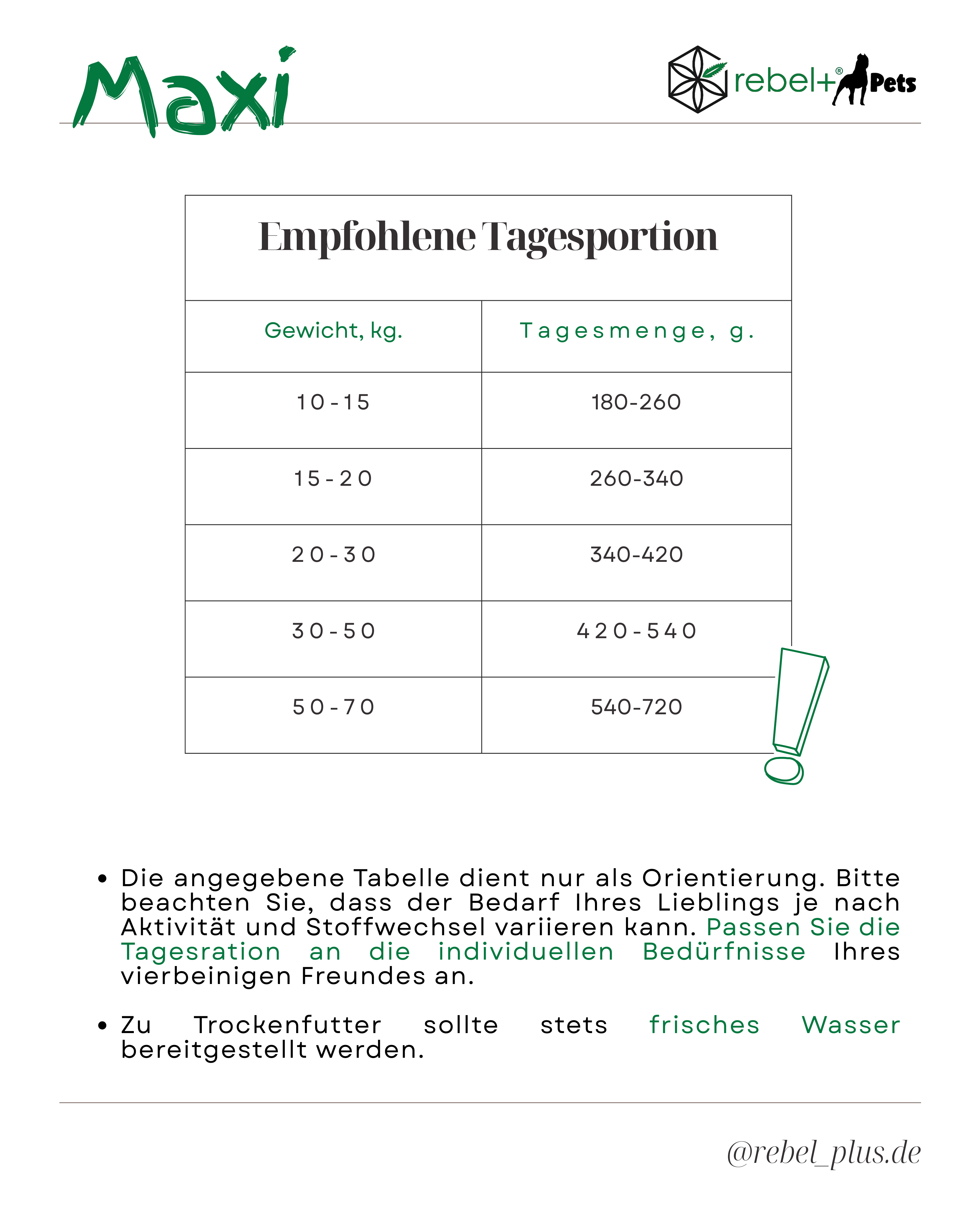 Senior Dog Food Maxi