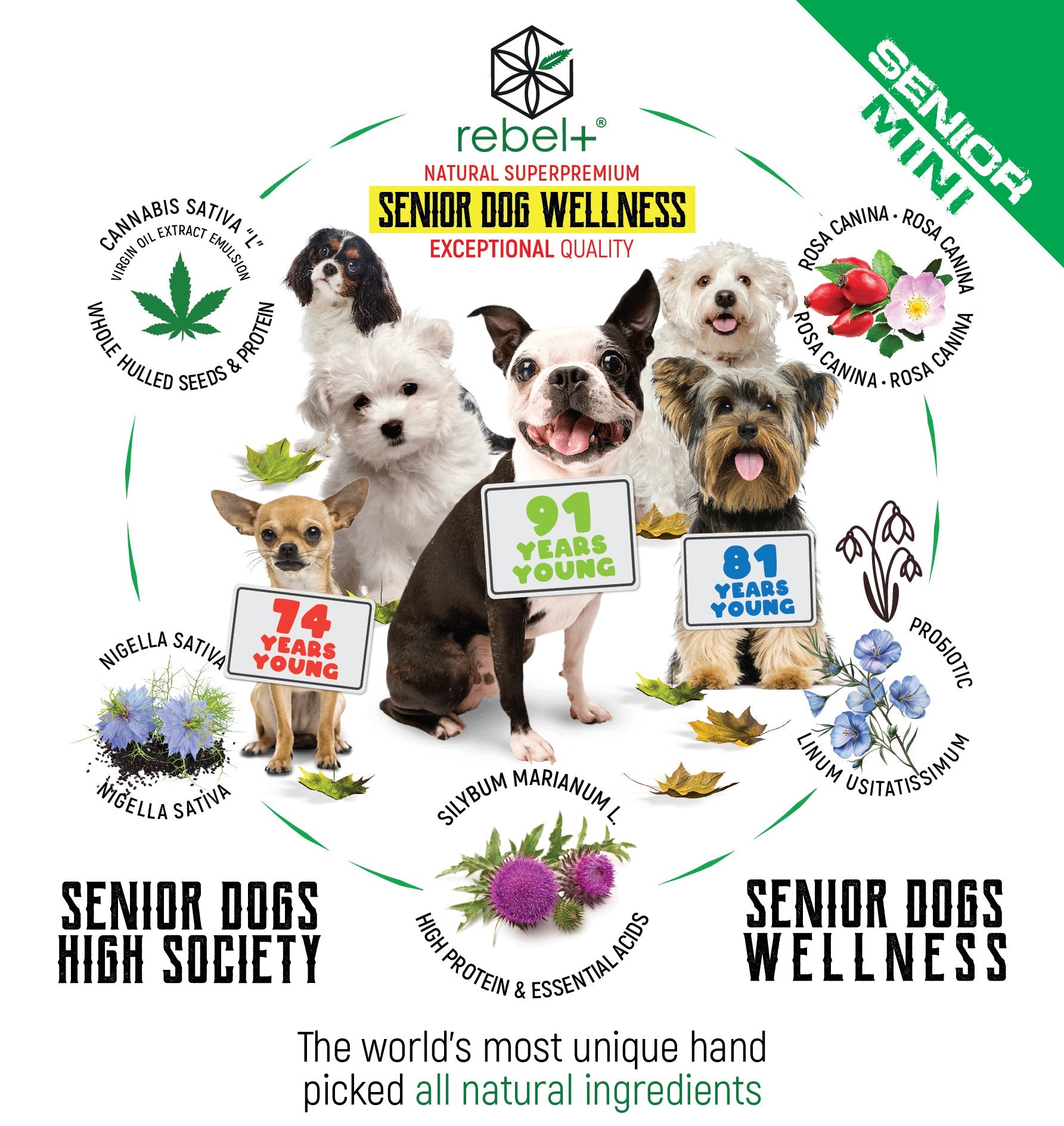 Senior Dog Food Mini image 0