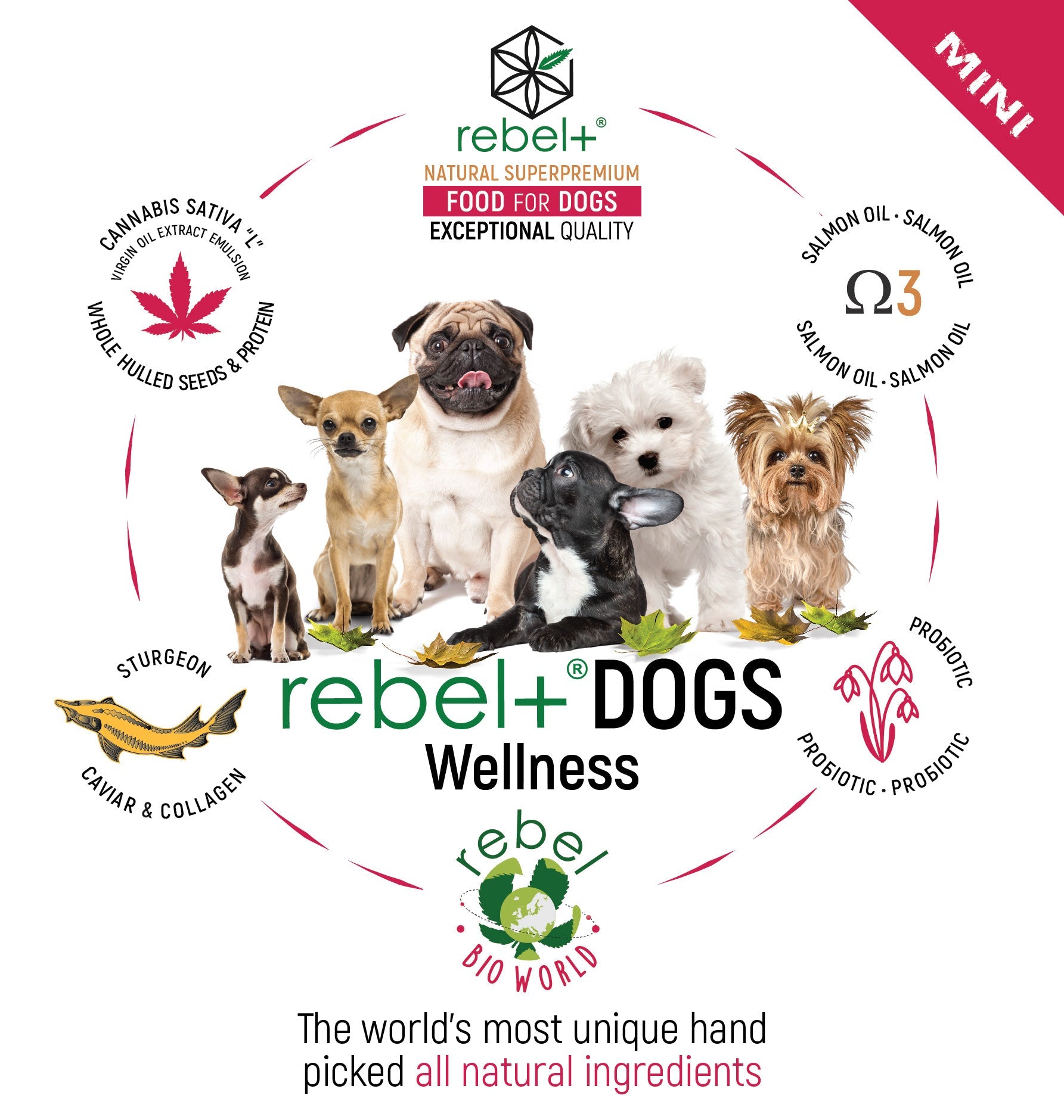 Rebel+ Dogs Mini image 1