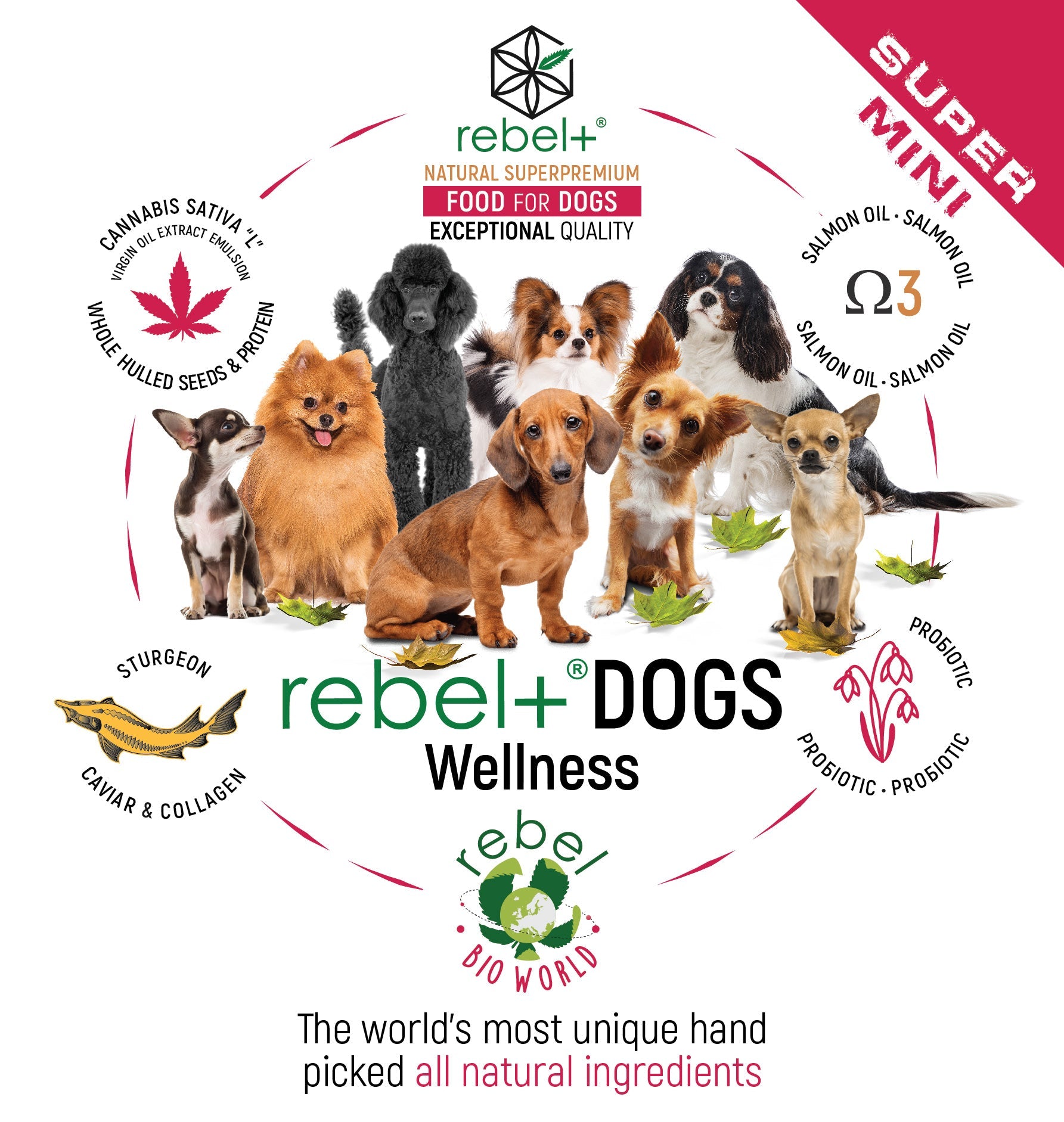 Rebel+ Dogs Supermini image 0