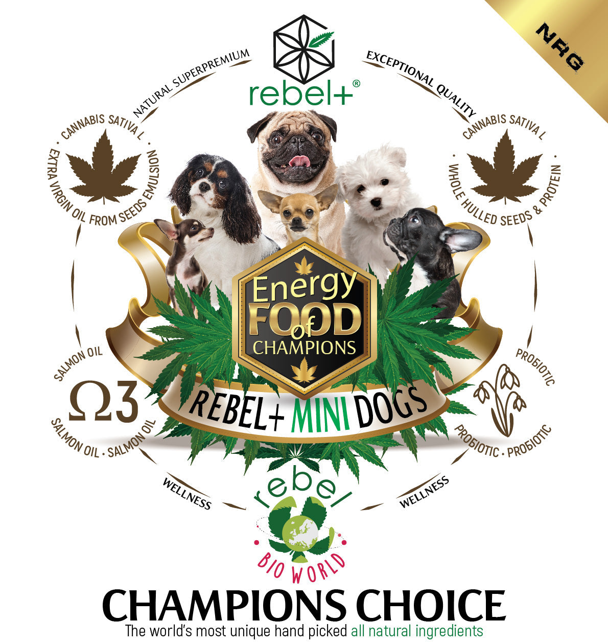 Rebel+ Energy Mini image 1