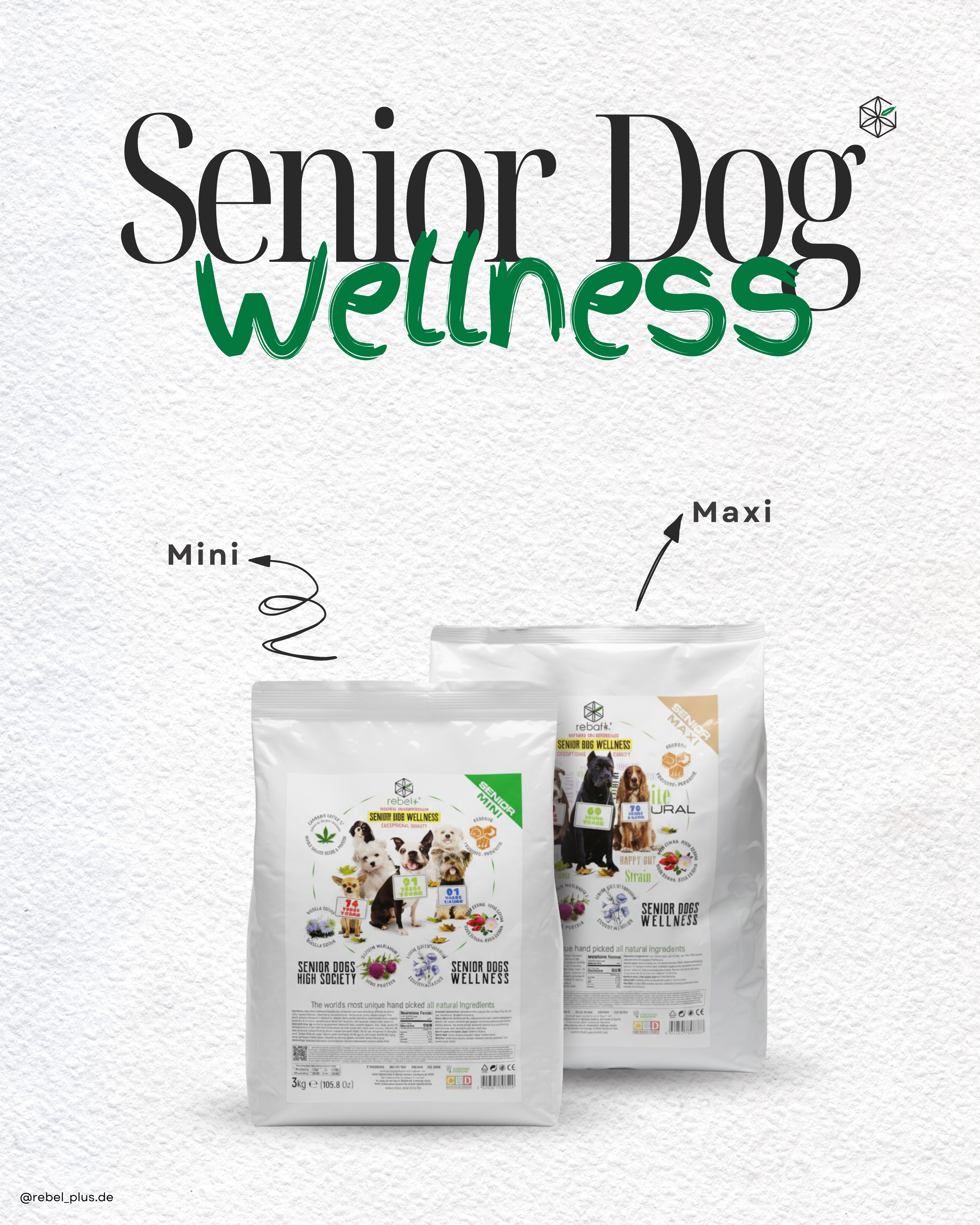Senior Dog Food Maxi