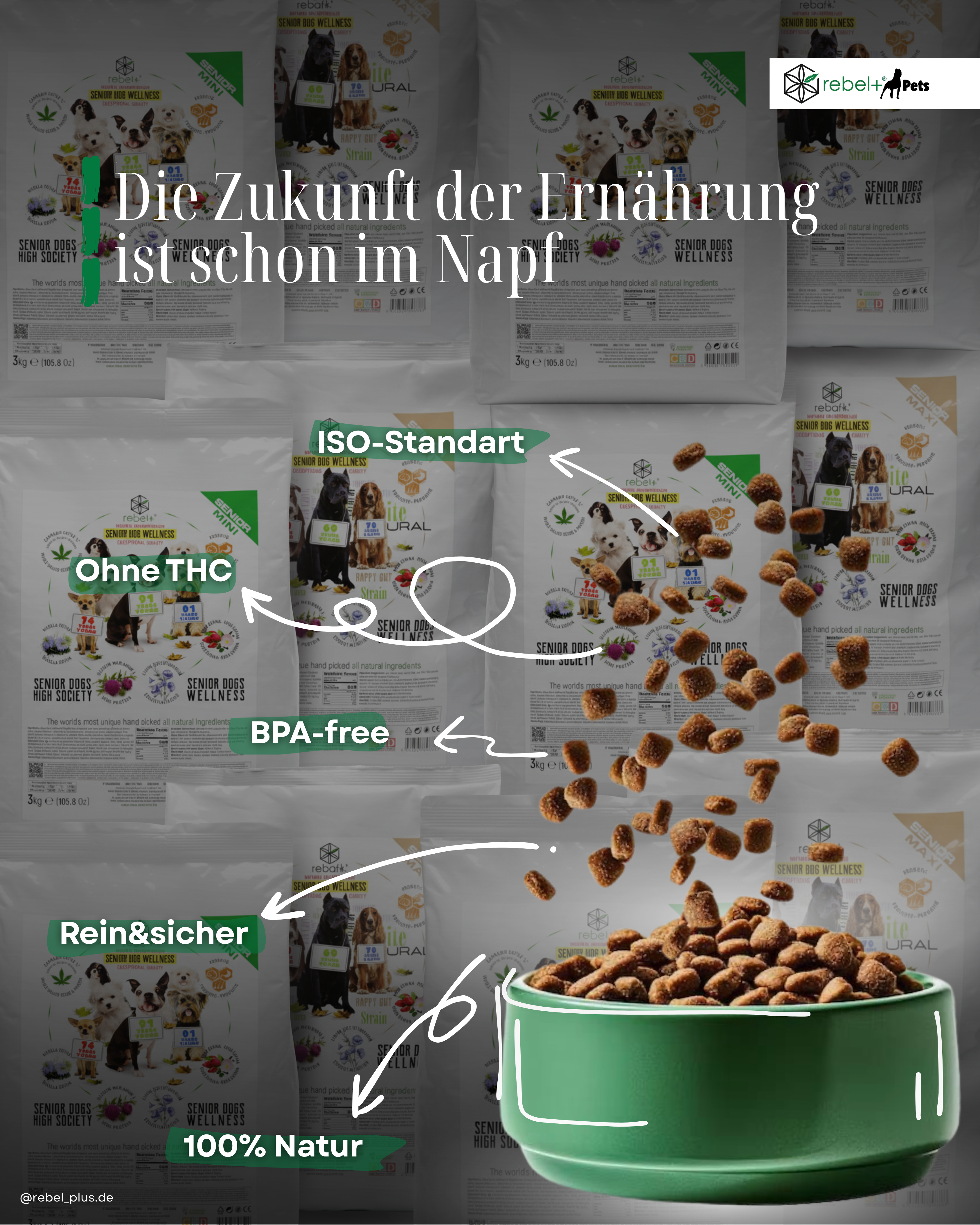 Senior Dog Food Maxi