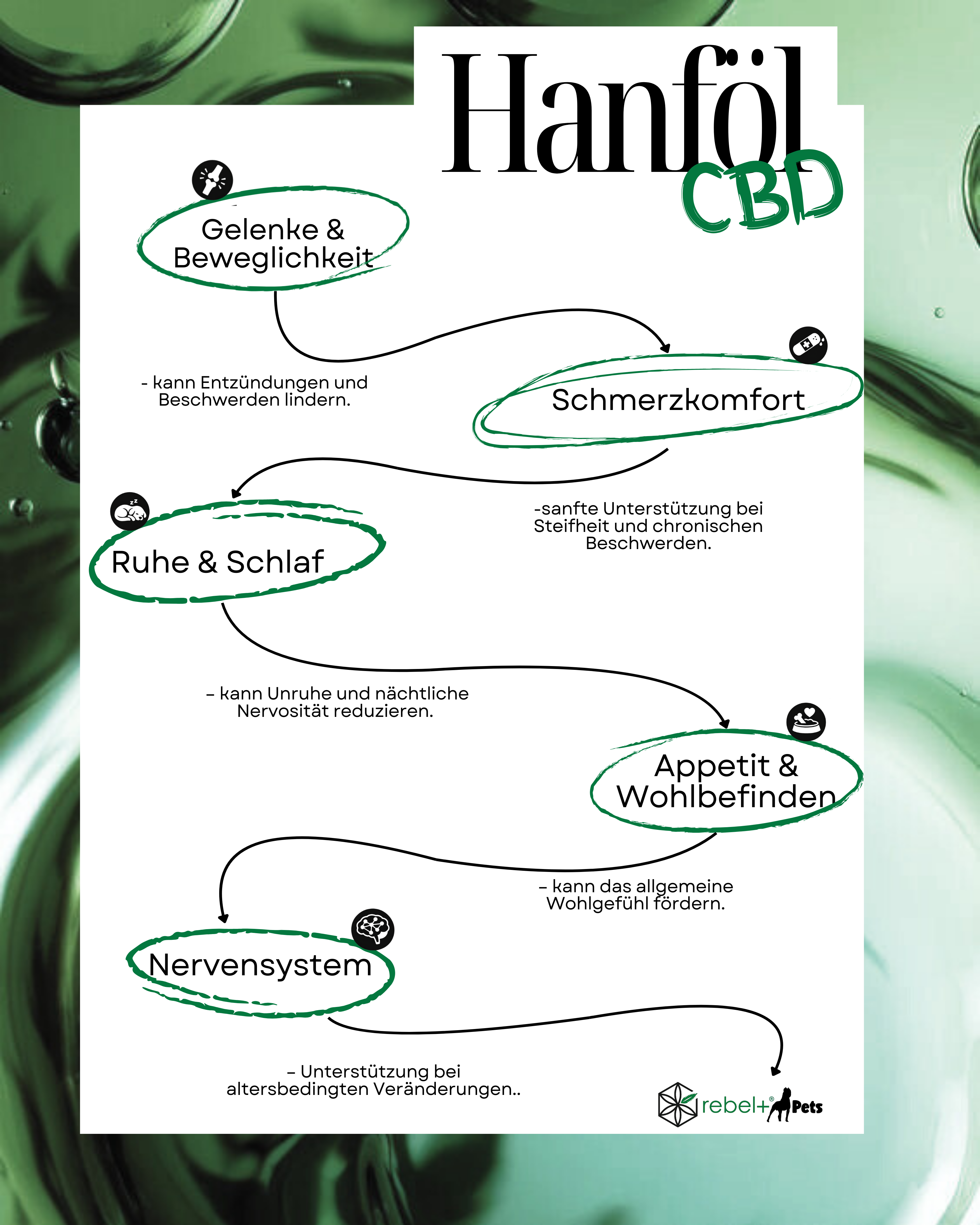 Senior Dog Food Maxi