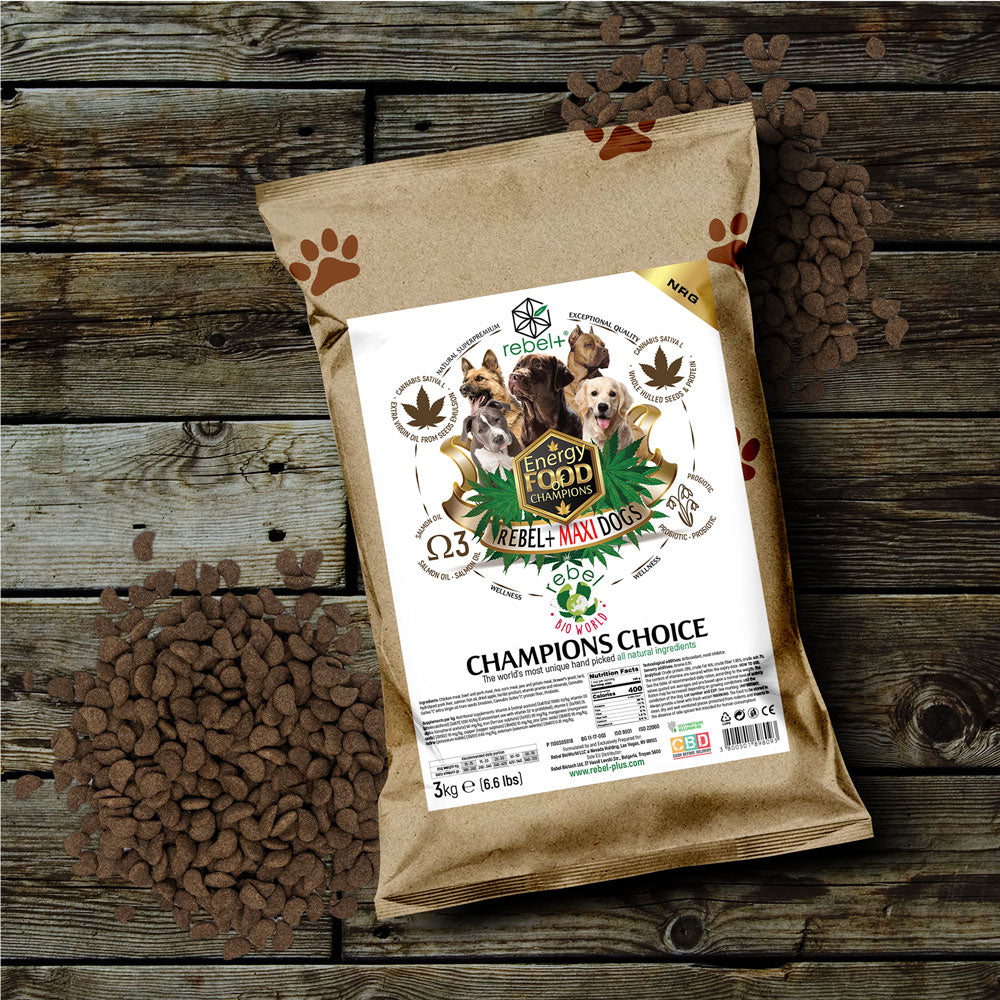 Rebel+ Energy Maxi image 0