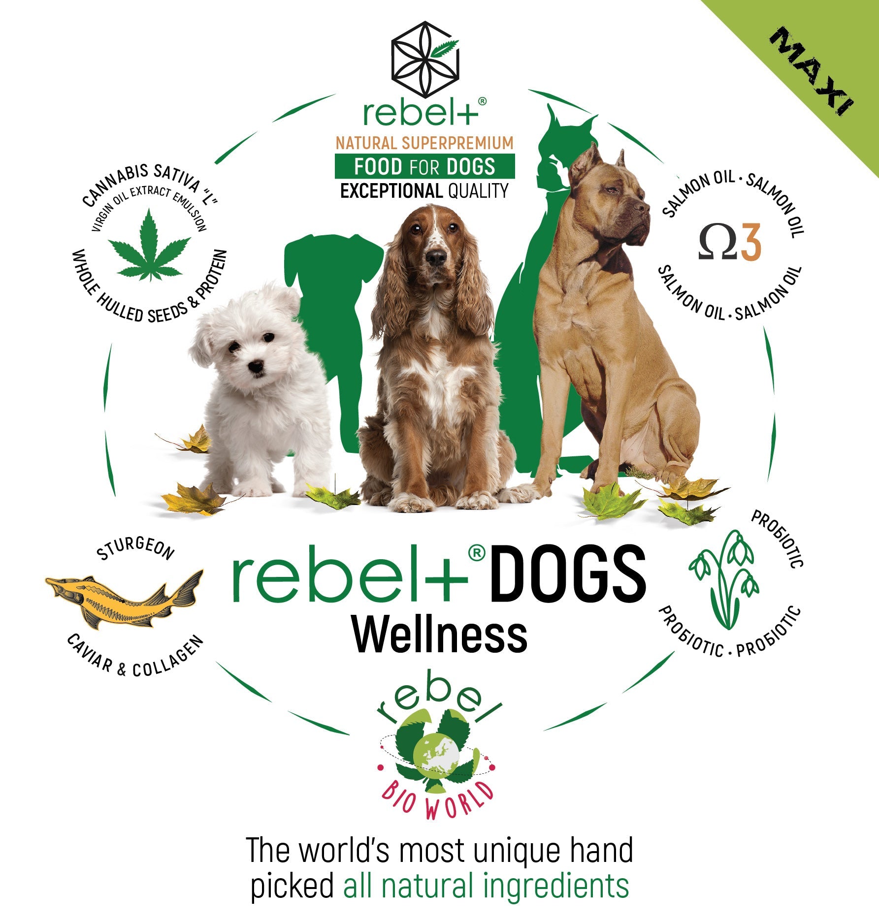 Rebel+ Dogs Maxi image 1