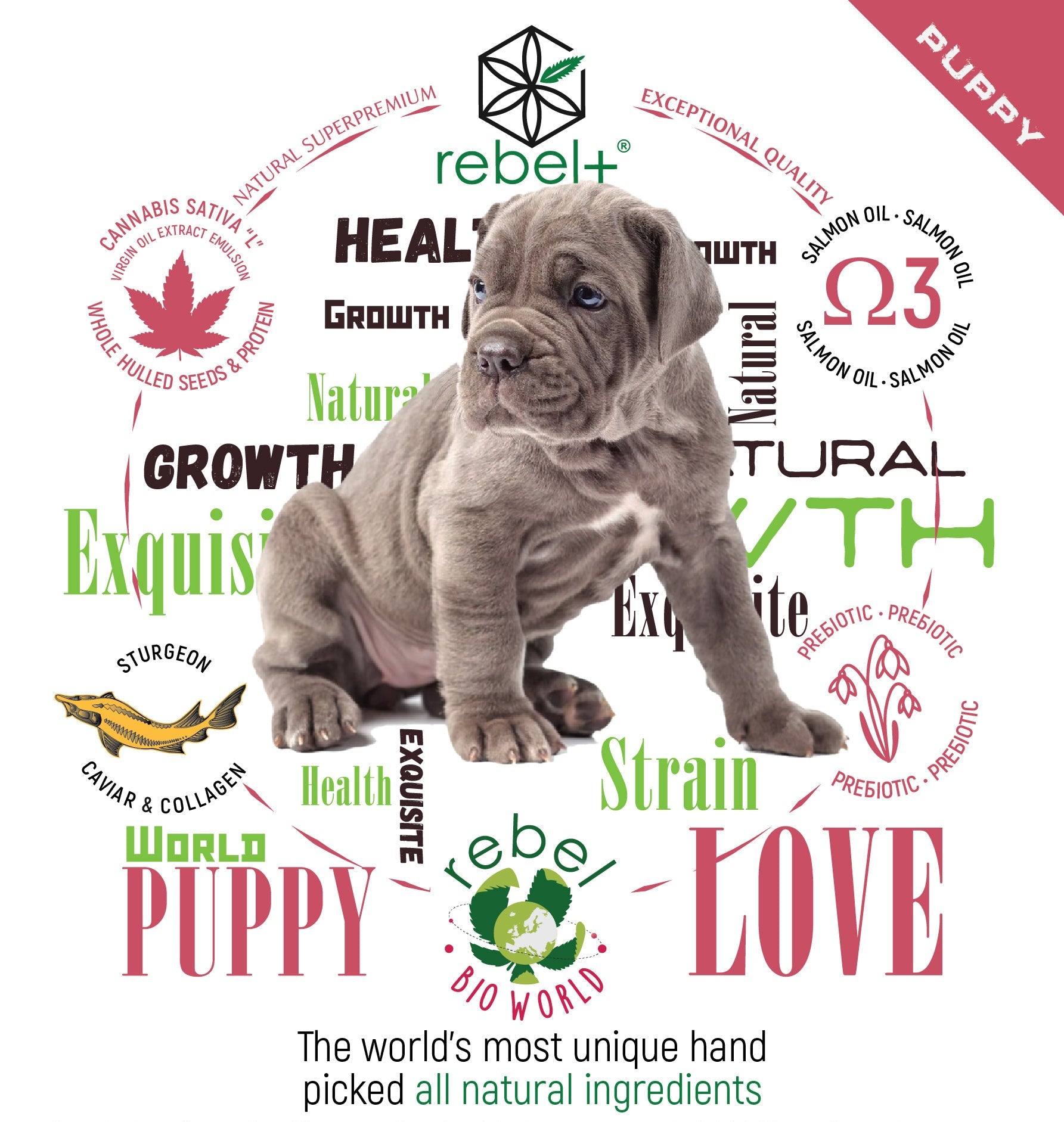 Rebel+ Dogs Puppy image 1